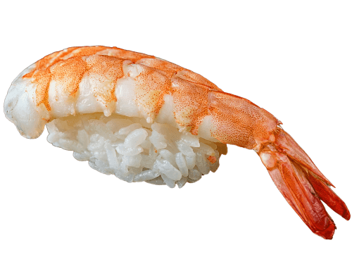 Ebi Nigiri (Shrimp)