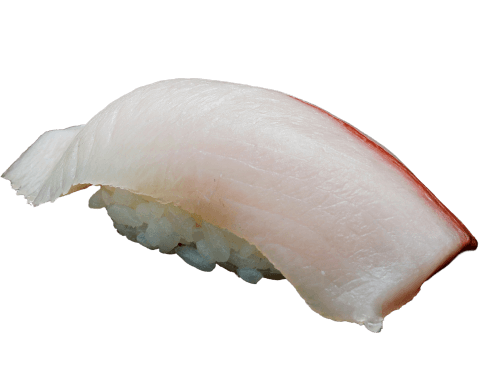 Hamachi Nigiri (Yellowtail)